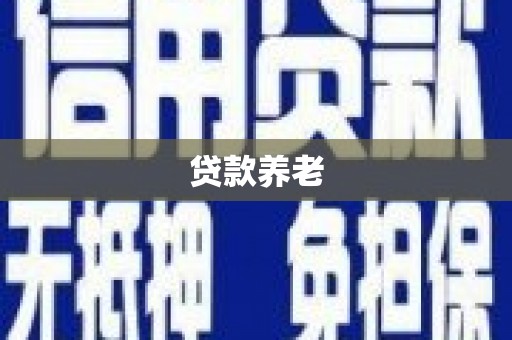 板芙贷款养老