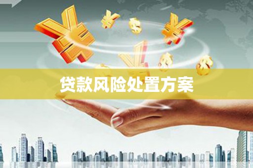 大祥贷款风险处置方案