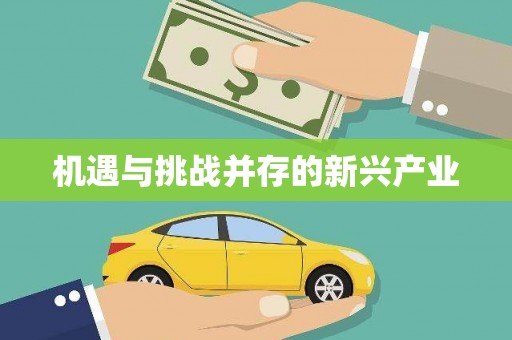 双清机遇与挑战并存的新兴产业