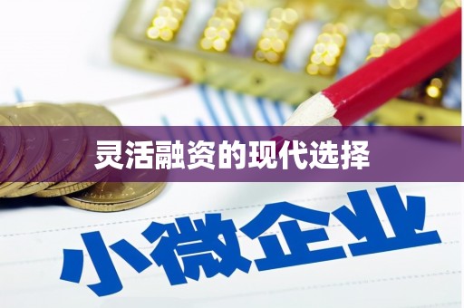南化灵活融资的现代选择
