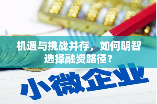 岭东机遇与挑战并存，如何明智选择融资路径？