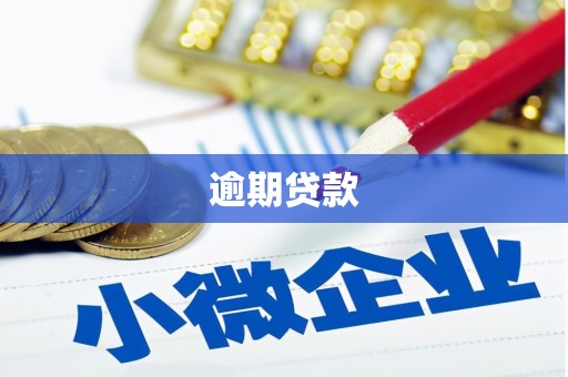 丽水逾期贷款